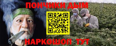 гидра Шелехов