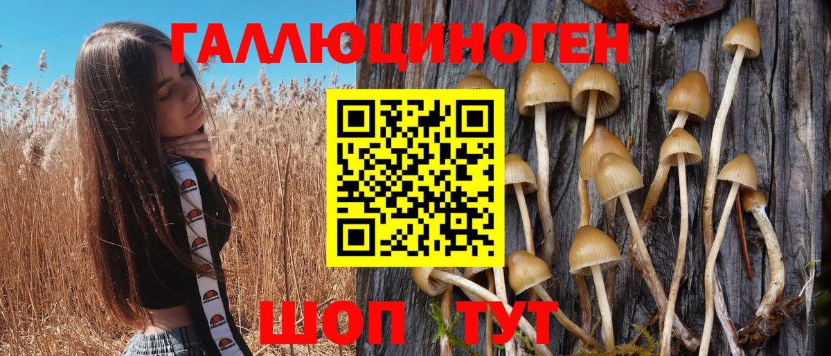 Краснотурьинск  Псилоцибиновые грибы Magic Shrooms  Псилоцибиновые грибы мицелий  Вход с VPN 